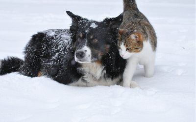 image for Winter is Coming!